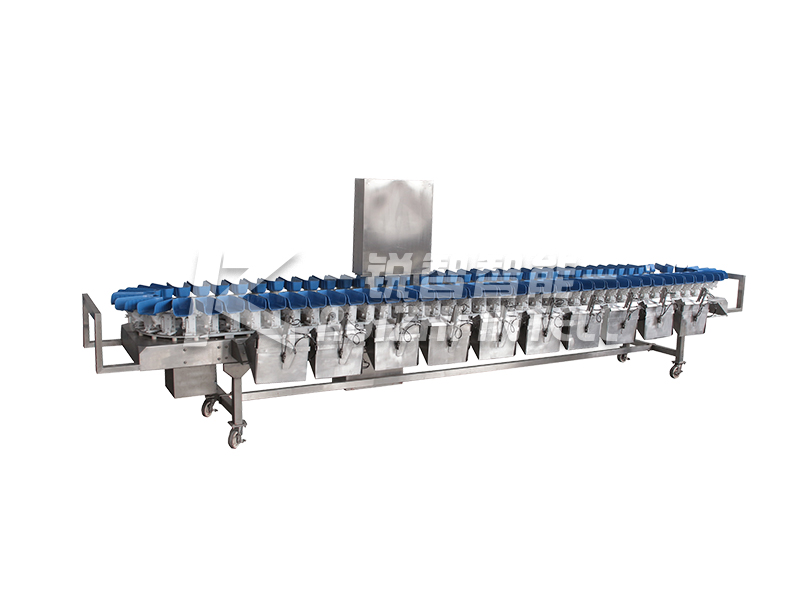 【銳智出品系列】之食品稱重分級、智能包裝整體解決方案