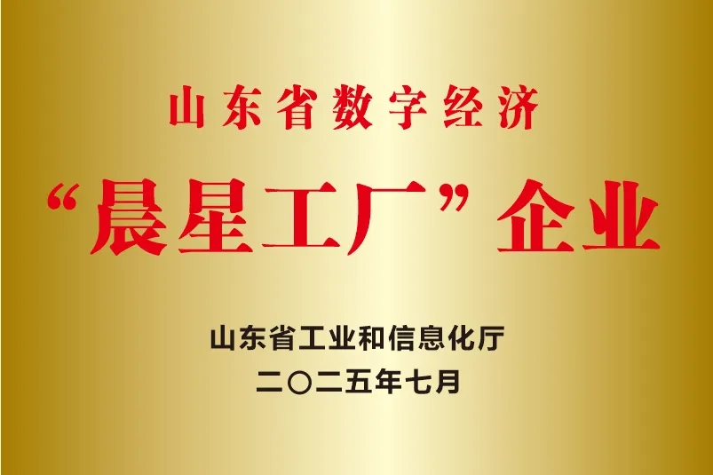 喜報！銳智智能成功入選2025年度山東省數(shù)字經(jīng)濟(jì)“晨星工廠”建設(shè)試點名單